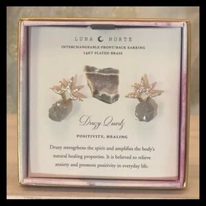 ⚡️Luna Norte Druzy Quartz Earrings
